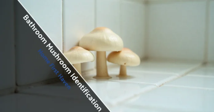Bathroom Mushroom Identification showing small mushrooms growing in tile grout, highlighting moisture issues and hidden fungal growth.