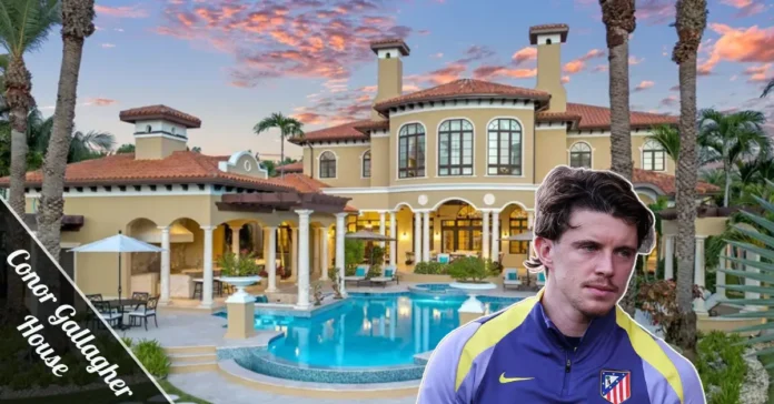 Conor Gallagher House modern exterior Madrid Spain upscale neighborhood gated community contemporary architecture